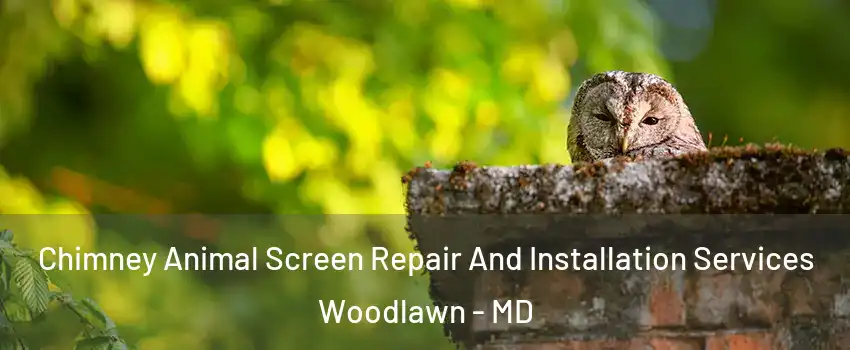  Chimney Animal Screen Repair And Installation Services Woodlawn - MD