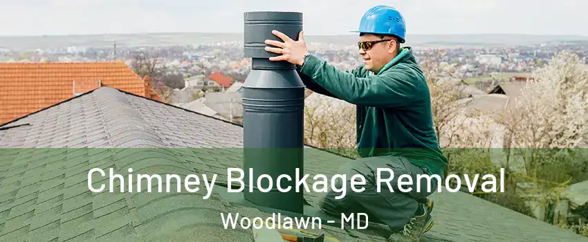  Chimney Blockage Removal Woodlawn - MD