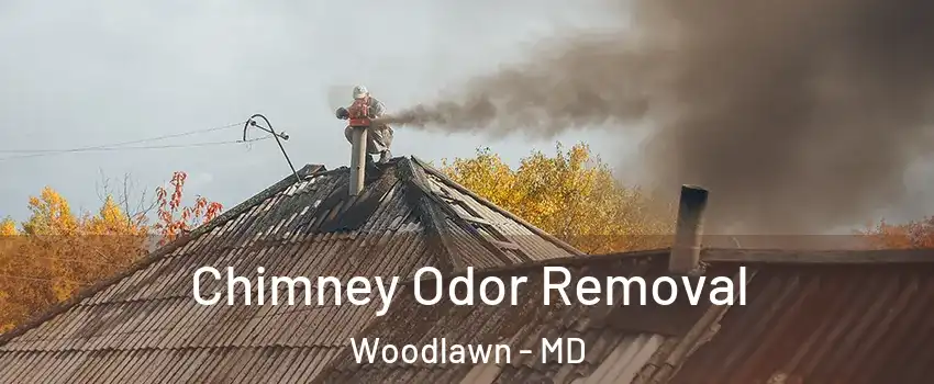  Chimney Odor Removal Woodlawn - MD