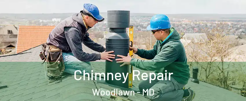  Chimney Repair Woodlawn - MD