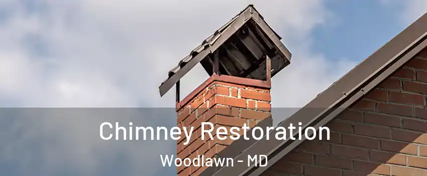  Chimney Restoration Woodlawn - MD