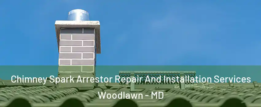  Chimney Spark Arrestor Repair And Installation Services Woodlawn - MD