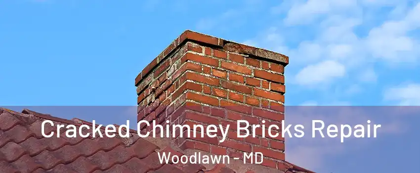  Cracked Chimney Bricks Repair Woodlawn - MD