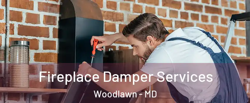 Fireplace Damper Services Woodlawn - MD