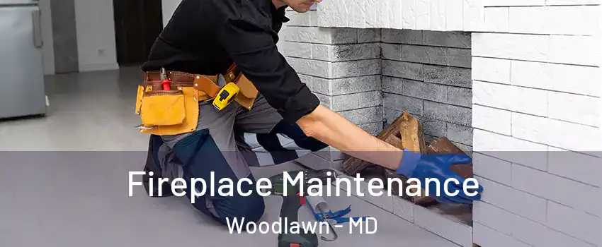  Fireplace Maintenance Woodlawn - MD