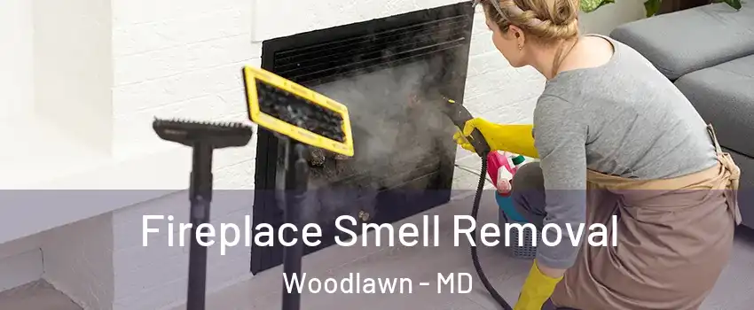  Fireplace Smell Removal Woodlawn - MD