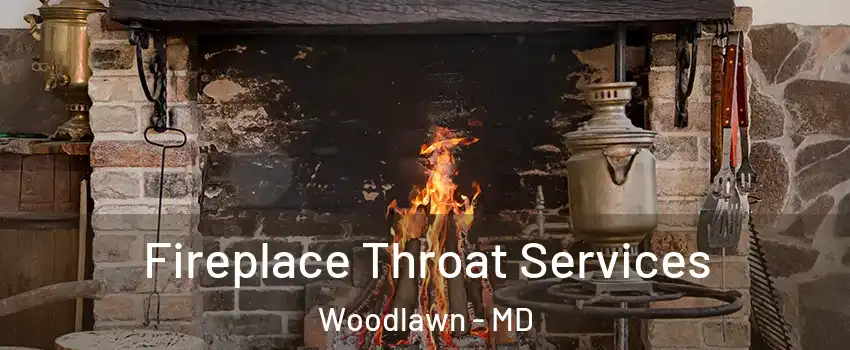  Fireplace Throat Services Woodlawn - MD