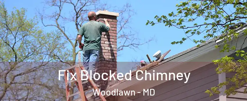  Fix Blocked Chimney Woodlawn - MD