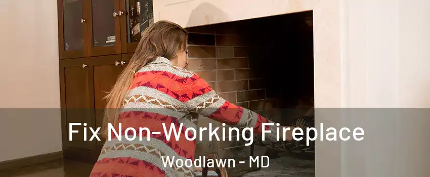  Fix Non-Working Fireplace Woodlawn - MD