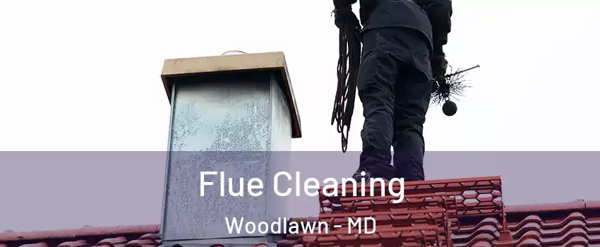  Flue Cleaning Woodlawn - MD