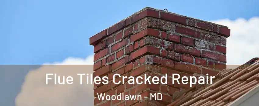  Flue Tiles Cracked Repair Woodlawn - MD