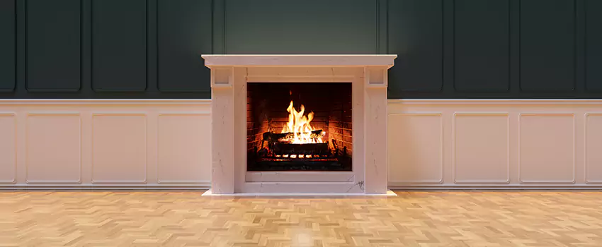 Napoleon Electric Fireplaces Inspection Service in Woodlawn, Maryland