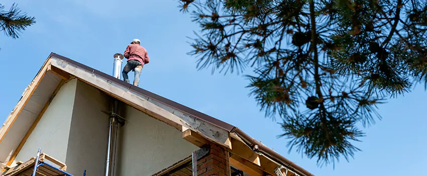 Birds Removal Contractors from Chimney in Woodlawn, MD
