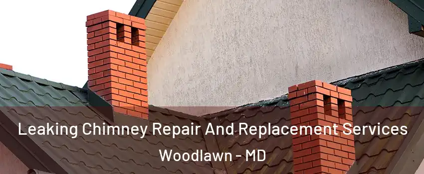  Leaking Chimney Repair And Replacement Services Woodlawn - MD