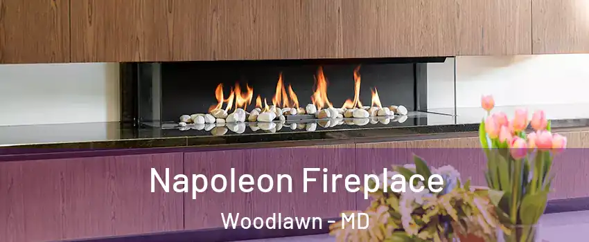  Napoleon Fireplace Woodlawn - MD