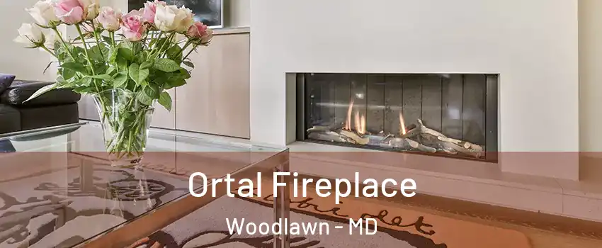 Ortal Fireplace Woodlawn - MD